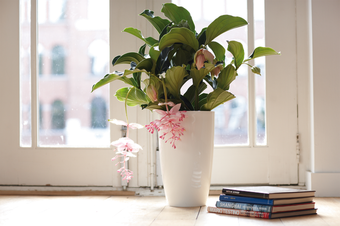 brussels diamond round high 27cm white